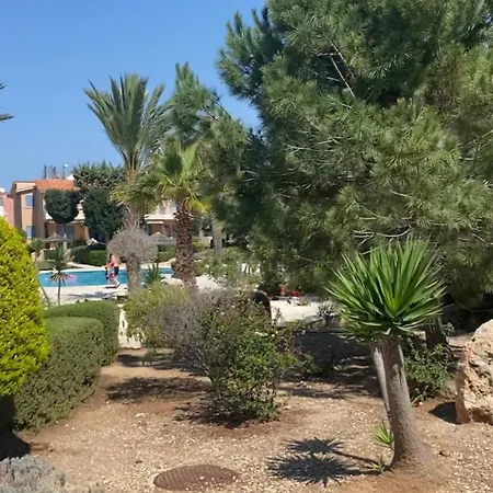 Newly Renovated- Regina Gardens 1, Venus Beach 500 M, Sea&Sunsets View, License Ooo7141 Paphos Exterior photo